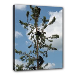 Canvas 14  x 11  (Stretched) 