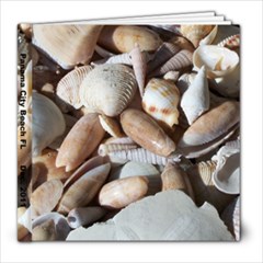 FLORIDA 2011 - 8x8 Photo Book (20 pages)
