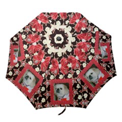 star and roses floding umbrella - Folding Umbrella