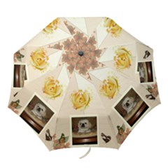 yellow rose umbrella - Folding Umbrella