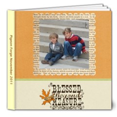 Pigeon Forge 2011 - 8x8 Deluxe Photo Book (20 pages)