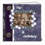 Trip to Gatlinburg - 8x8 Photo Book (30 pages)