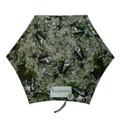 Dogwood Umbrella