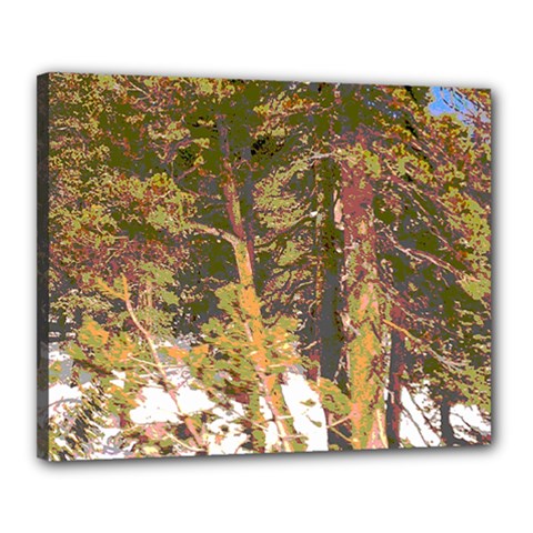 yosemite trees - Canvas 20  x 16  (Stretched)