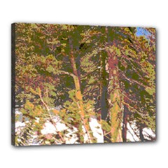 Canvas 20  x 16  (Stretched) 