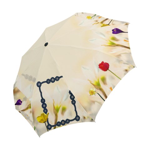 Folding Umbrella 