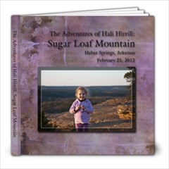 Sugar Loaf Mountain book - 8x8 Photo Book (20 pages)