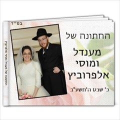 Greenberg wedding book - 9x7 Photo Book (20 pages)