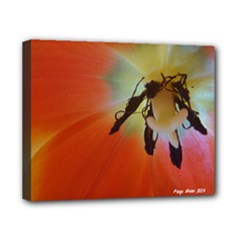 Canvas 10  x 8  (Stretched) 