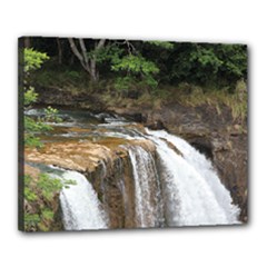 Canvas 20  x 16  (Stretched) 
