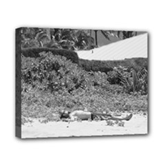 Canvas 10  x 8  (Stretched) 