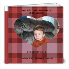 feb. pictures - 8x8 Photo Book (20 pages)