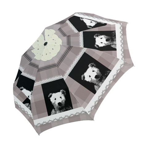 Folding Umbrella 