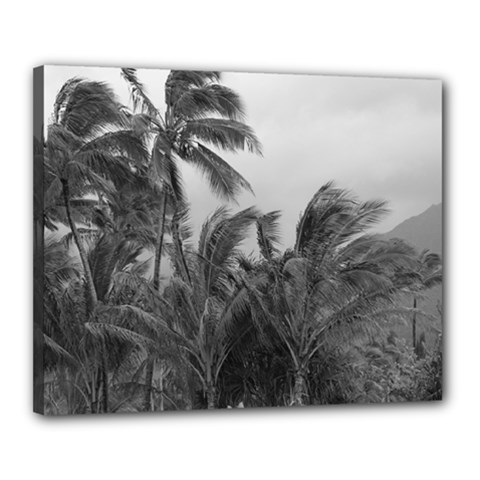 ptress 20x16 b/w - Canvas 20  x 16  (Stretched)