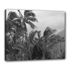Canvas 20  x 16  (Stretched) 
