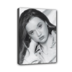 Mini Canvas 7  x 5  (Stretched) 