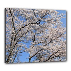 Canvas 24  x 20  (Stretched) 