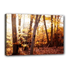 Canvas 18  x 12  (Stretched) 