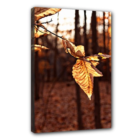 leaf - Canvas 18  x 12  (Stretched)