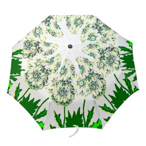 Folding Umbrella 