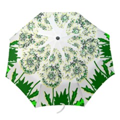 dandelion2 folding umbrella