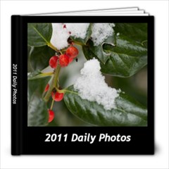 2011 Daily Photo - 8x8 Photo Book (60 pages)