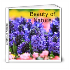Beauty of Nature - 6x6 Photo Book (20 pages)