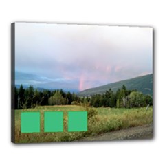 Canvas 20  x 16  (Stretched) 