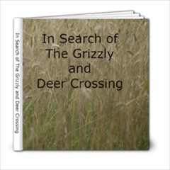 In Search of The Grizzly - 6x6 Photo Book (20 pages)