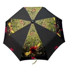 rain rain go away umbrella - Folding Umbrella