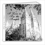 Andy Temple Book - 8x8 Photo Book (20 pages)