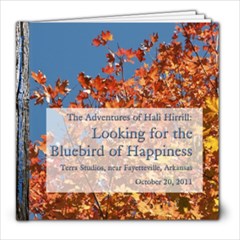 Bluebird Book - 8x8 Photo Book (20 pages)