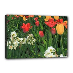 Canvas 18  x 12  (Stretched) 