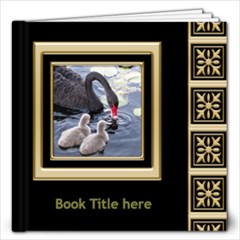 Black and Gold 12x12 Book (60 Pages) - 12x12 Photo Book (60 pages)