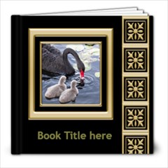 Black and Gold 8x8 Book (20 Pages) - 8x8 Photo Book (20 pages) Black and Gold 8x8 Book (20 Pages) - 8x8 Photo Book (20 pages)