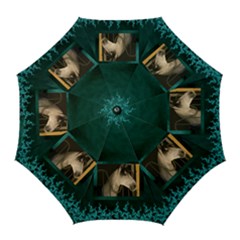 country golf Umbrella