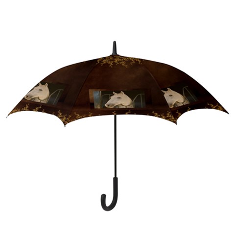 Hook Handle Umbrella (Large) 