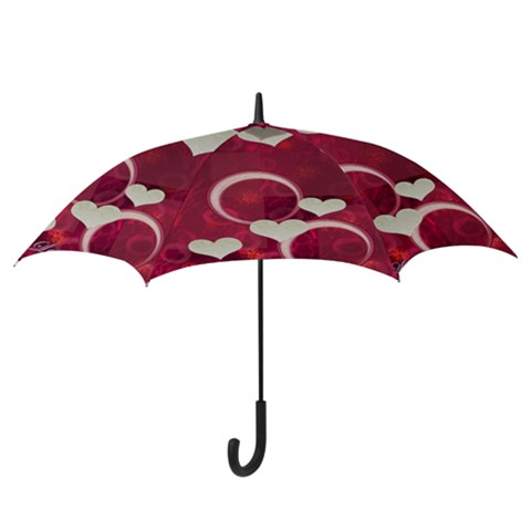 Hook Handle Umbrella (Small) 