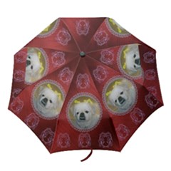 Royal Red Folding Umbrella