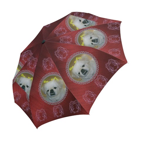 Folding Umbrella 