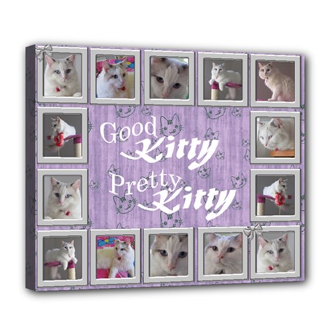 Good Kitty Deluxe 24x20 Stretched Canvas - Deluxe Canvas 24  x 20  (Stretched)