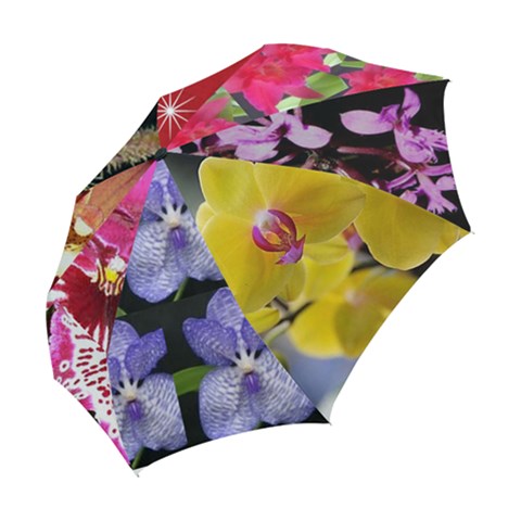 Folding Umbrella 