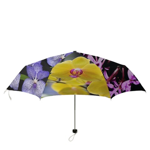 Folding Umbrella 