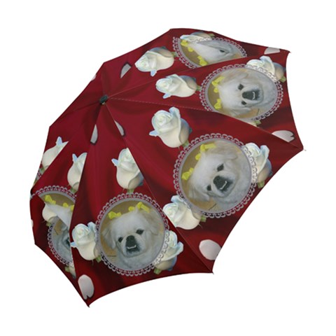 Folding Umbrella 