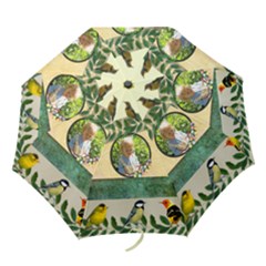 Bird umbrella - Folding Umbrella