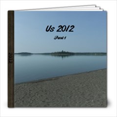 A Look Back - 2012 - 8x8 Photo Book (100 pages)