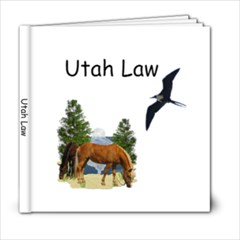 Utah Law - 6x6 Photo Book (20 pages)