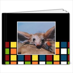 Funny Colors - 7x5  - 7x5 Photo Book (20 pages)
