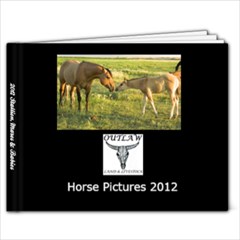 Horse Book - 7x5 Photo Book (20 pages)