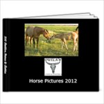 Horse Book - 7x5 Photo Book (20 pages)